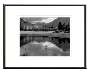 Lockett Meadow