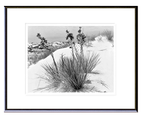 White Sands