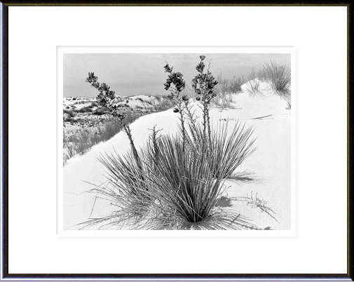 White Sands