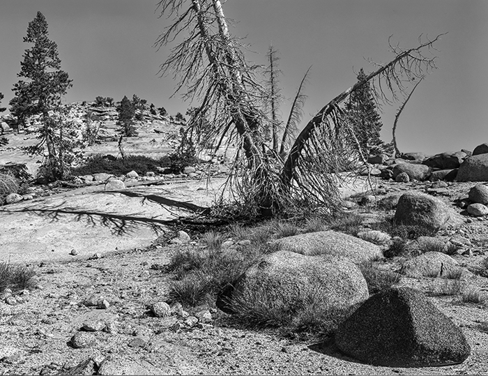 Olmsted Point-Yosemite, CA