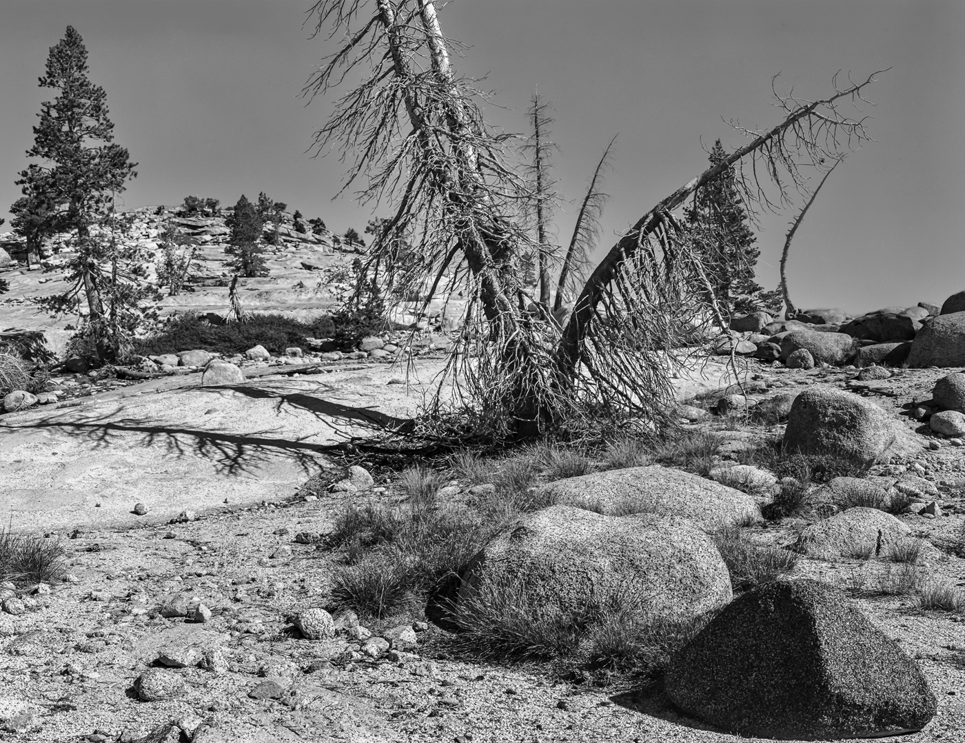 Olmsted Point-Yosemite, CA